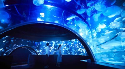 🐠 교토 수족관